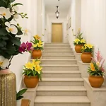 Spagna Lemon 4*